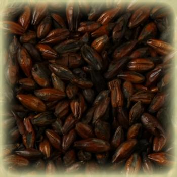  Chateau Roasted Barley (Castle Malting) 