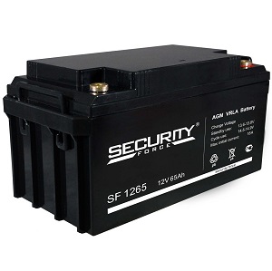 Аккумулятор SF 1265 Security Force